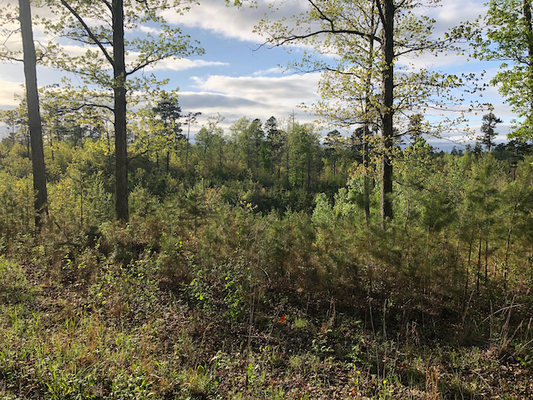 A Cool Turn at Gnomestead Farms: Fall Prep and Steady Progress